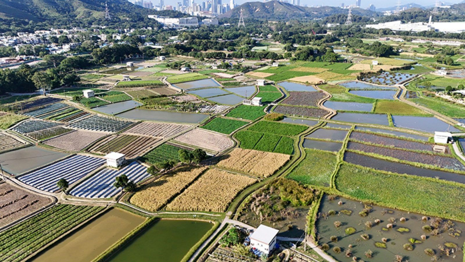 Hong Kong’s Long Valley Nature Park officially opens to public: Here are all the details